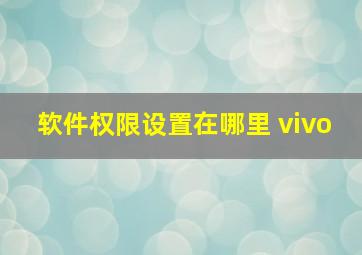 软件权限设置在哪里 vivo